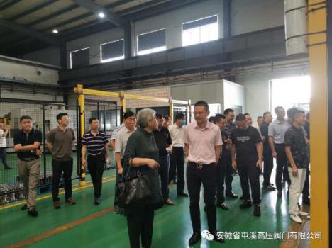 黄山高新区工业发展大会领导莅临屯阀参观考察
