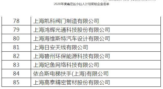 凯科阀门入选2020年度嘉定区小巨人计划奖励企业名单