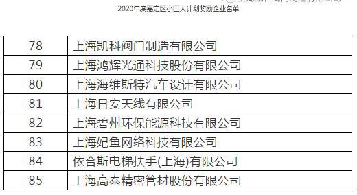 凯科阀门入选2020年度嘉定区小巨人计划奖励企业名单