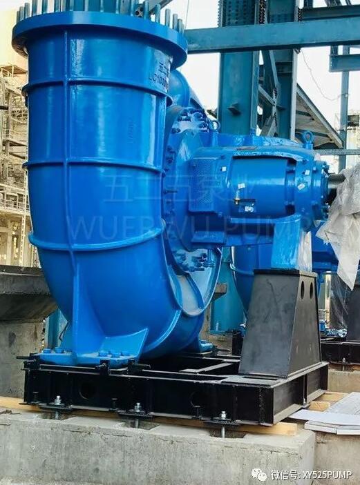 图3- LC1000/1300泵在印度C电厂安装现场