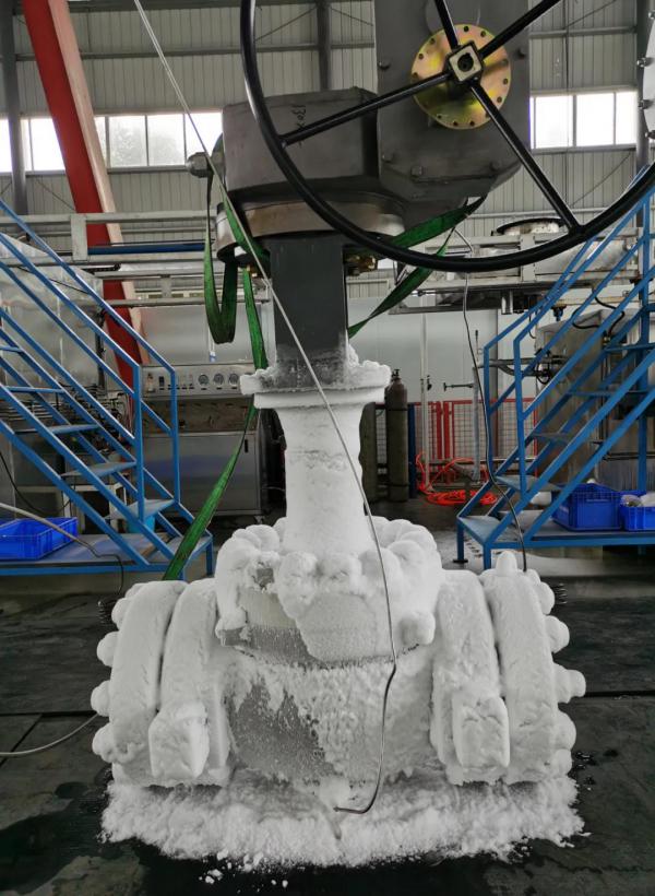 重庆川仪“天然气液化装置低温阀门国产化”项目--LNG深冷球阀样机成功通过鉴定