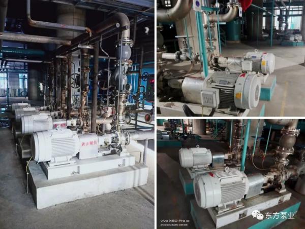 东方泵业化工泵系列助力齐鲁制药新建项目顺利验收