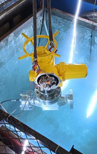 中核科技——DN250氦气隔离阀鉴定试验圆满成功