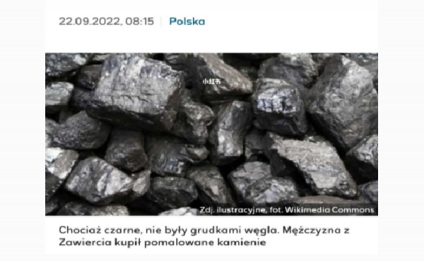 波兰发生多起涂黑石头冒充煤炭事件 #国际新闻 #波兰生活 #煤炭 #低碳环保 #真实案件