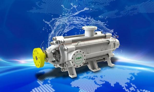 东方泵业DP自平衡多级泵在陕西东庄水利成功应用