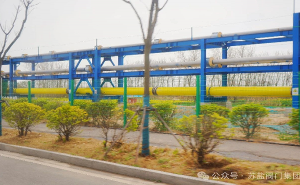 苏盐创新打造高端低温球阀 助力滨海LNG项目迈向零碳示范标杆