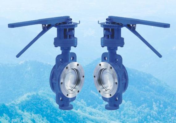 万能阀门为客户提供对夹式三偏心蝶阀解决方案，提升流体控制效率