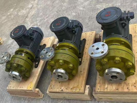 上海巧旭高压磁力泵定制案例解析与工程应用实践