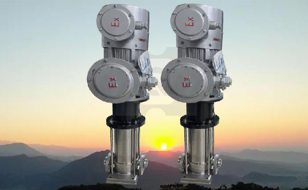 上海巧旭定制磁力多级离心泵顺利发货，助力海工甲醇系统稳定运行