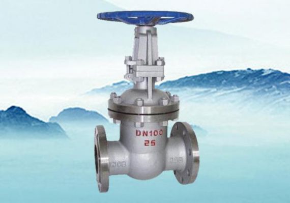 万能阀门Z41H项目纪实 铸钢法兰闸阀应用全过程记录