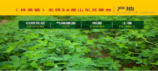 中民普健—福祉花生油，古法物理榨油