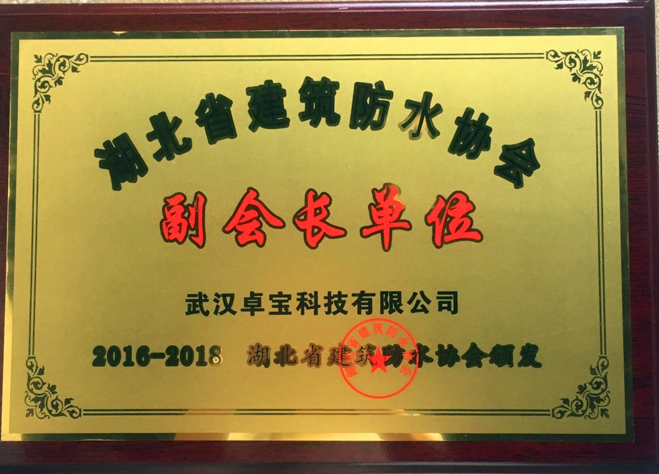 湖北省建筑防水协会副会长单位.jpg