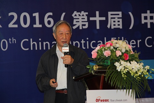 毛谦教授