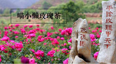 QQ截图20160826092448.jpg