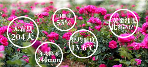 QQ截图20160826092558.jpg