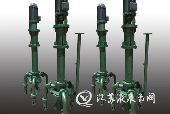 双吸头排污液下泵